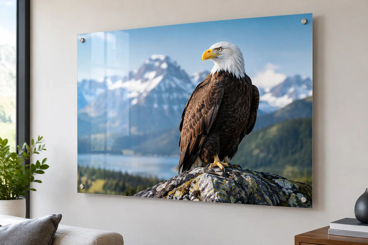 Wildlife Photography Printed on Acrylic Glass in USA