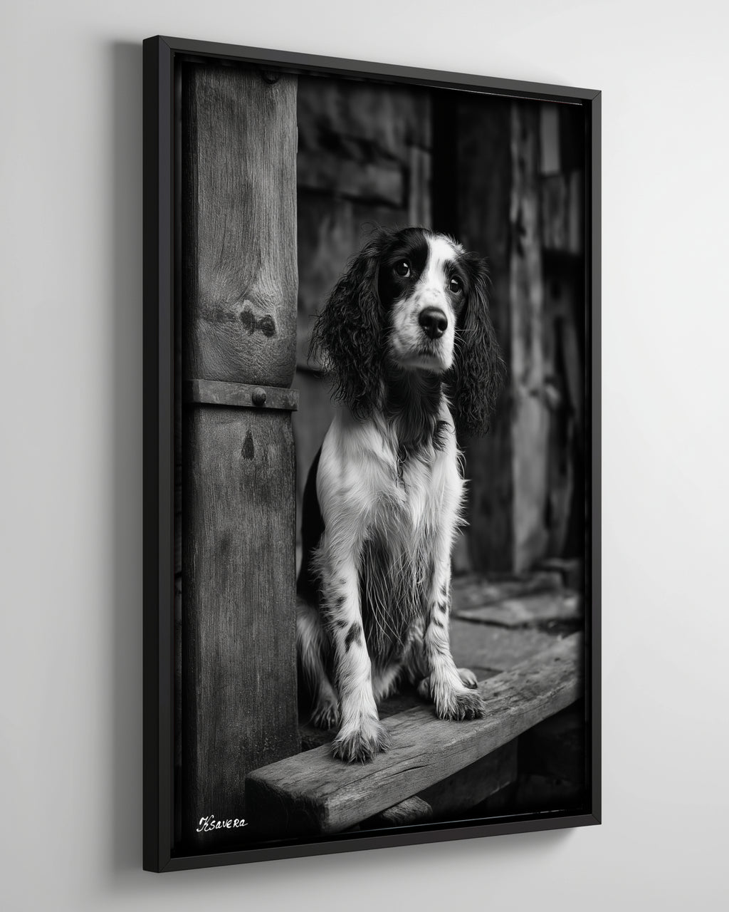 Spaniel dog in the old village - Framed Canvas 36" x 24" B0805H - US