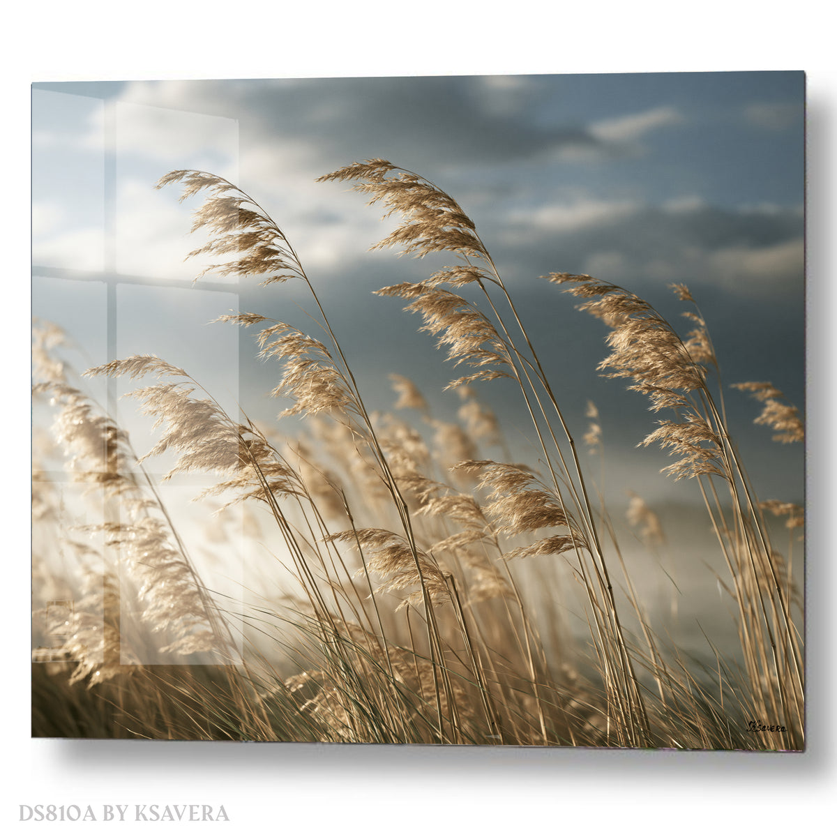 Fine Art Photography Print DS0810A by Artist Ksavera