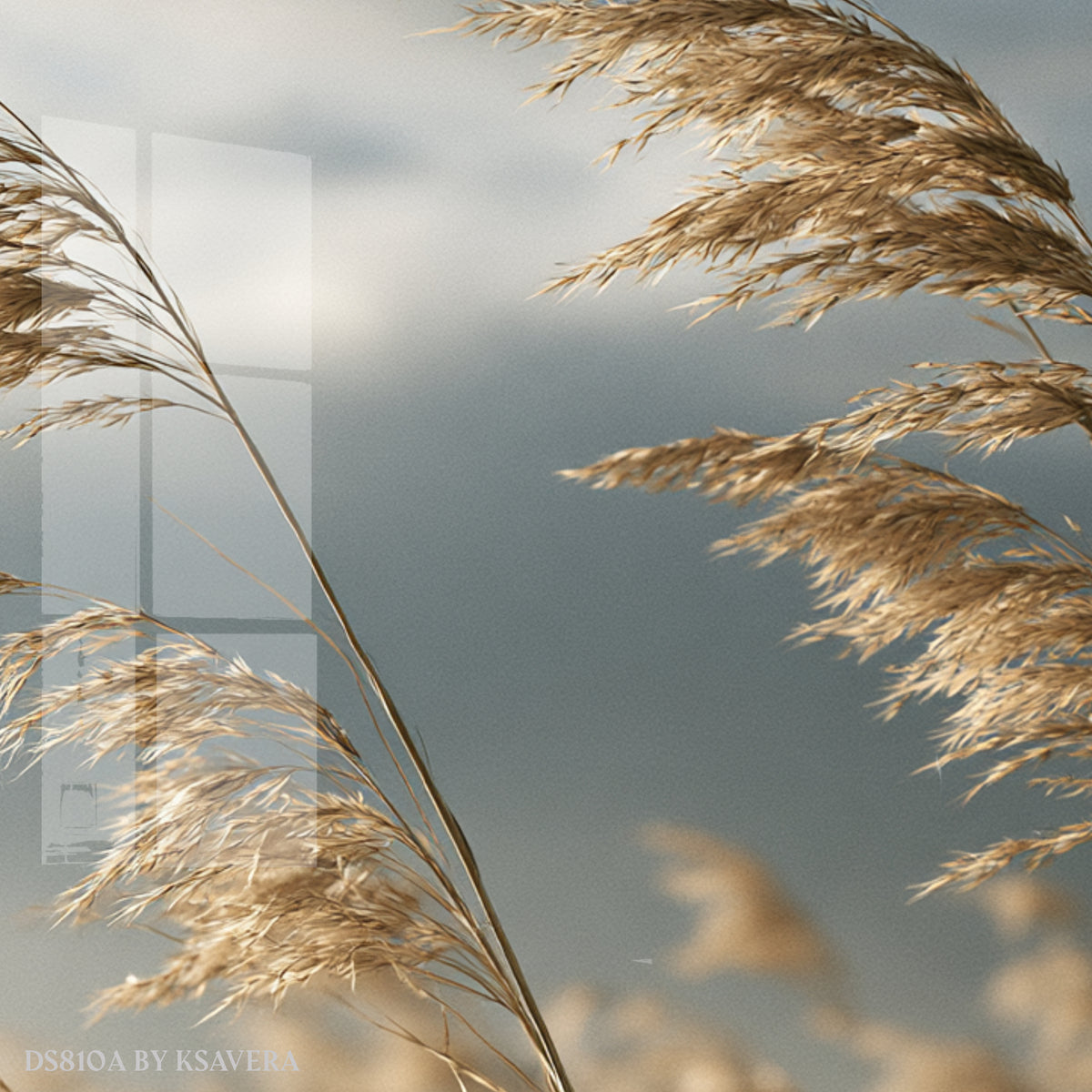 Fine Art Photography Print DS0810A by Artist Ksavera