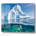 Harbor Seal Swimming - Iceberg Mountain - Acrylic glass Print 12"x16" and 40"x30" - DS0810G - US
