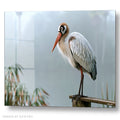 Stork On Log - foggy swamp - Acrylic glass Print 12"x16" and 40"x30" - DS0810K - US