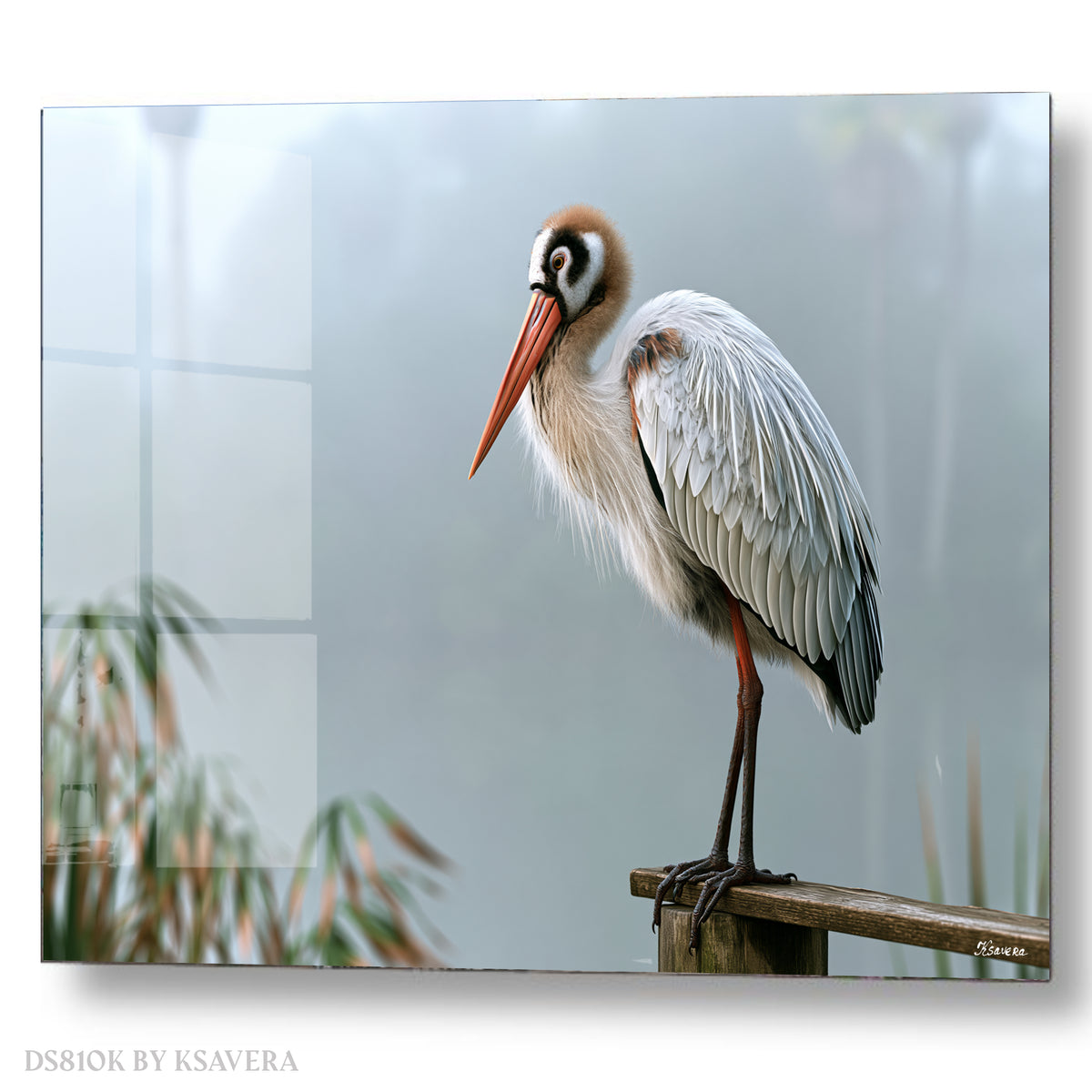 Stork On Log - foggy swamp - Acrylic glass Print 12"x16" and 40"x30" - DS0810K - US
