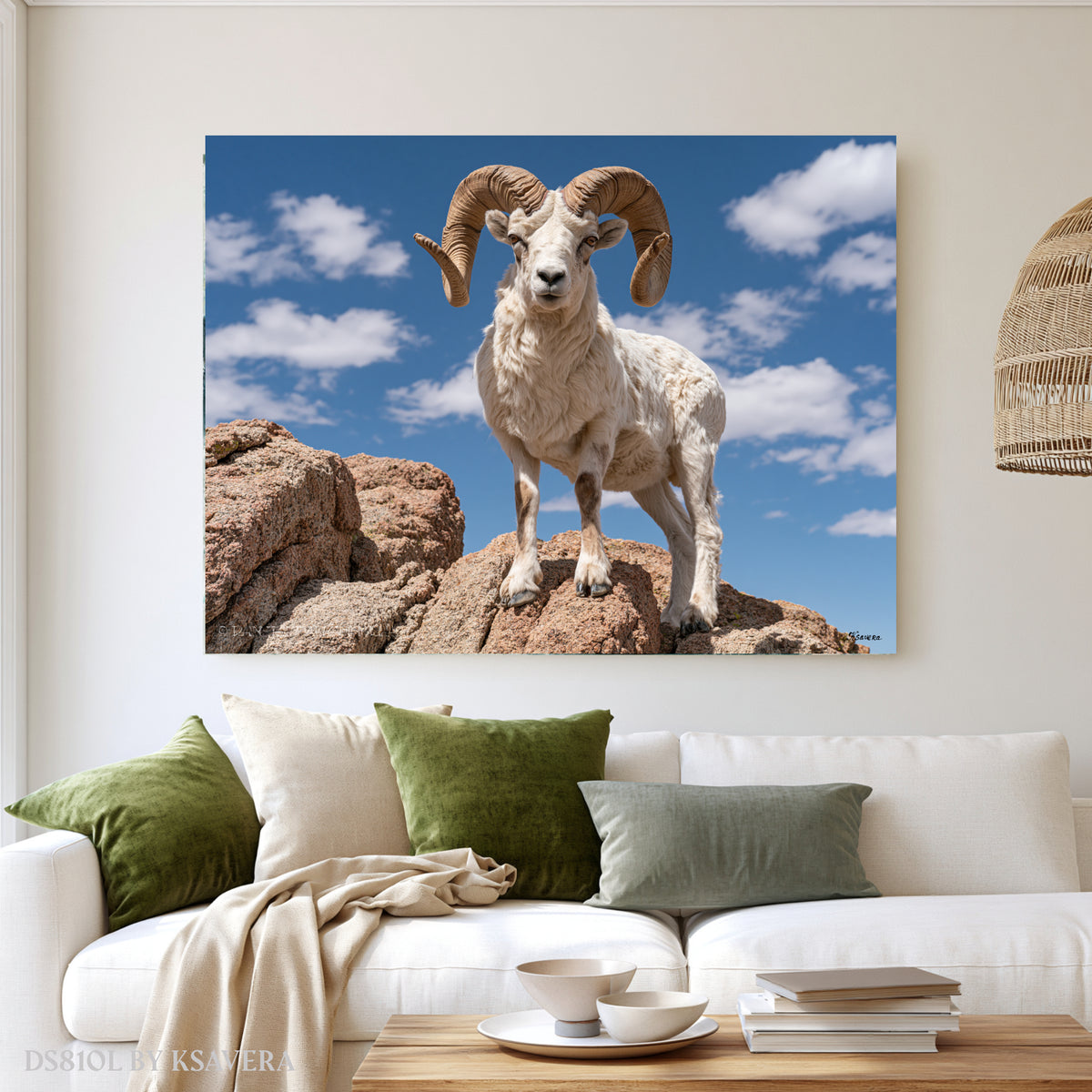 White Bighorn Ram - Acrylic glass Print 12"x16" and 40"x30" - DS0810L - US