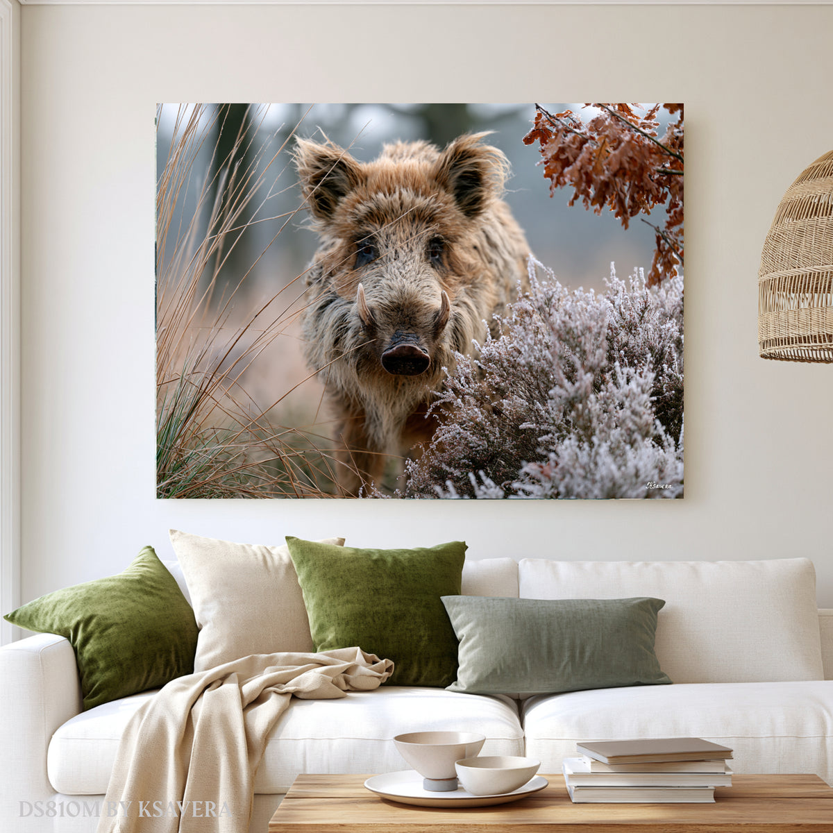 Wild Boar With Sharp Tusks - Acrylic glass Print 12"x16" and 40"x30" - DS0810M - US