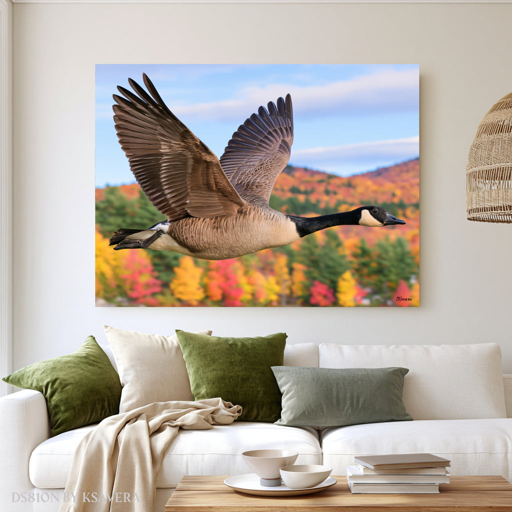 Canada Goose Flying - Autumn Forest - Acrylic glass Print 12"x16" and 40"x30" - DS0810N - US