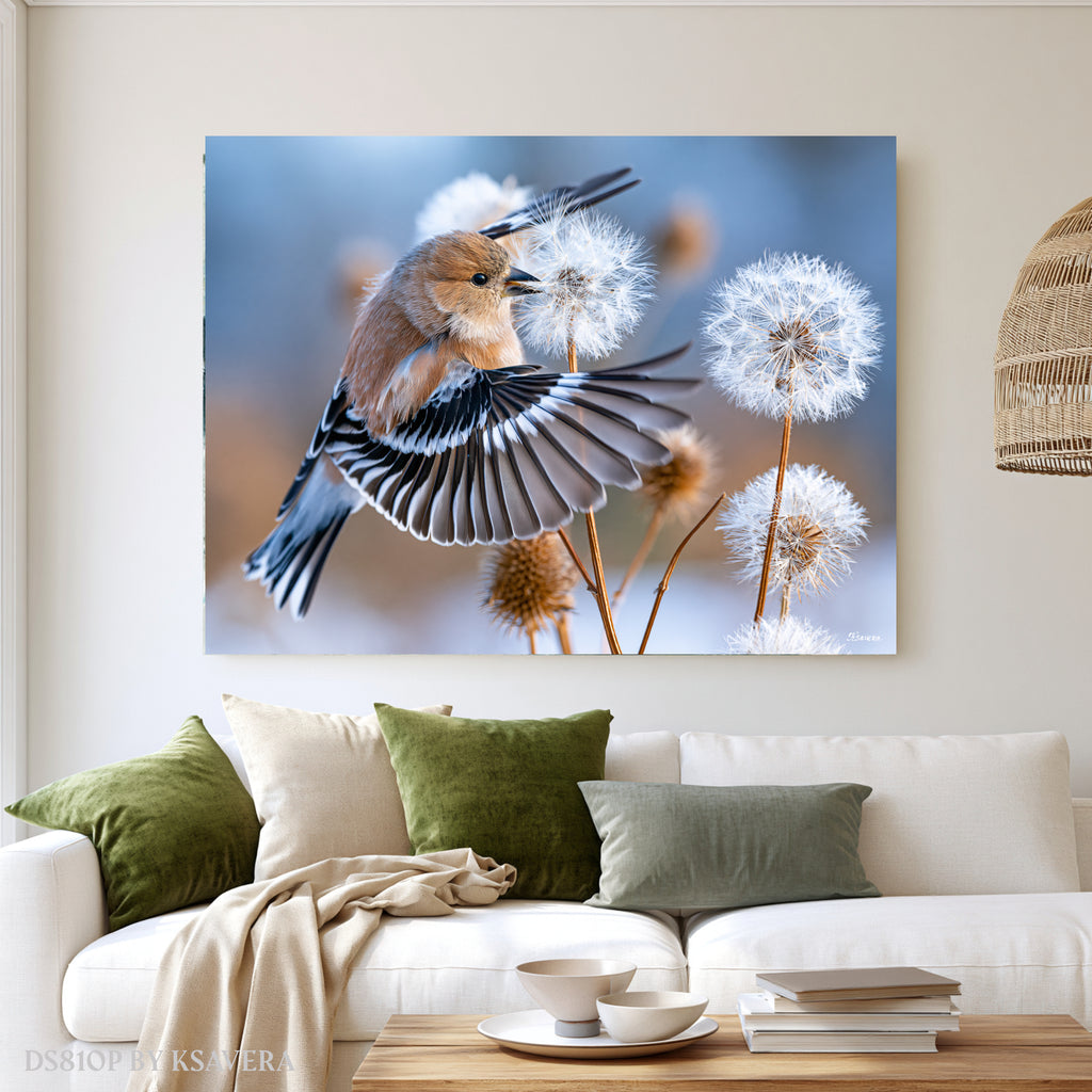 Finch Bird Spreading Wings - Dandelion - Acrylic glass Print 12"x16" and 40"x30" - DS0810P - US