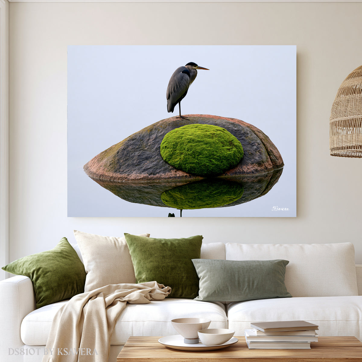 Grey Heron Perched on a Mossy Rock - Acrylic glass Print 12"x16" and 40"x30" - DS0810T - US