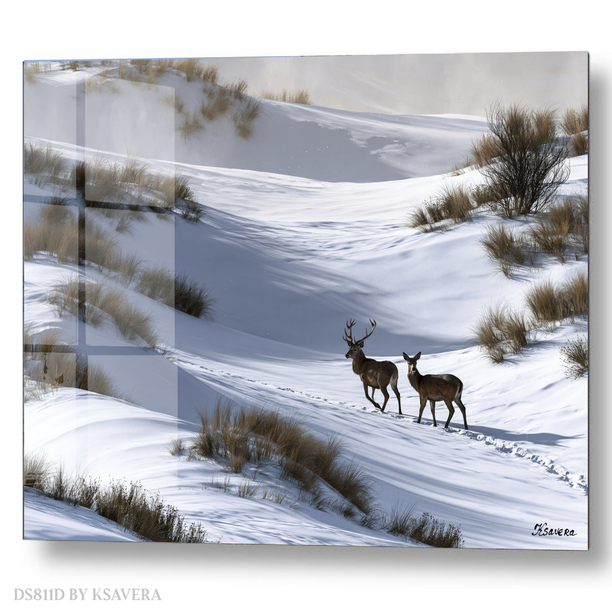 Winter Deer in Snow - Wildlife Nature Photography - Acrylic glass Print 12"x16" and 40"x30" - DS0811D - US