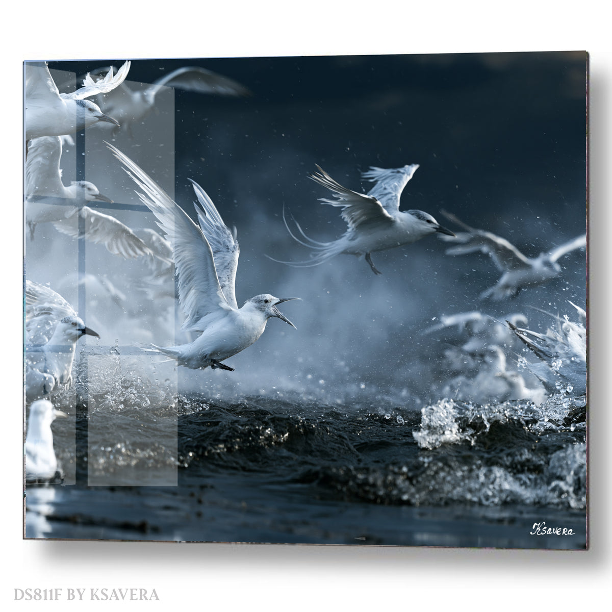 Seagulls Flying Over Ocean Waves - Acrylic glass Print 12"x16" and 40"x30" - DS0811F - US