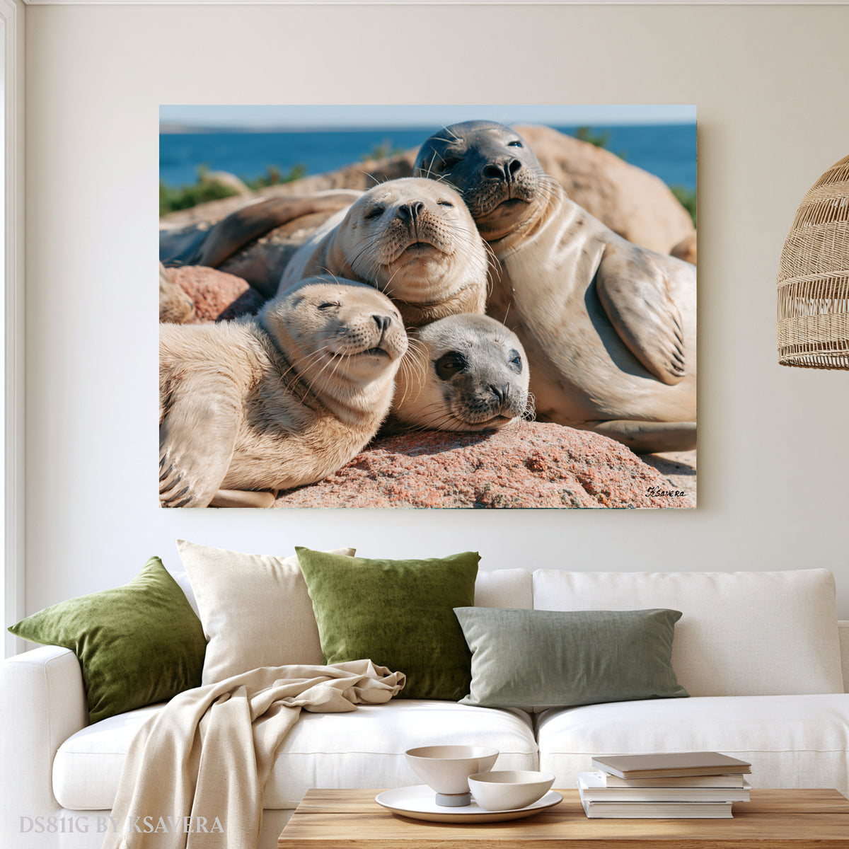 Harbor Seals Family Sunbathing on a beach - Coastal Photography - Acrylic glass Print 12"x16" and 40"x30" - DS0811G - US