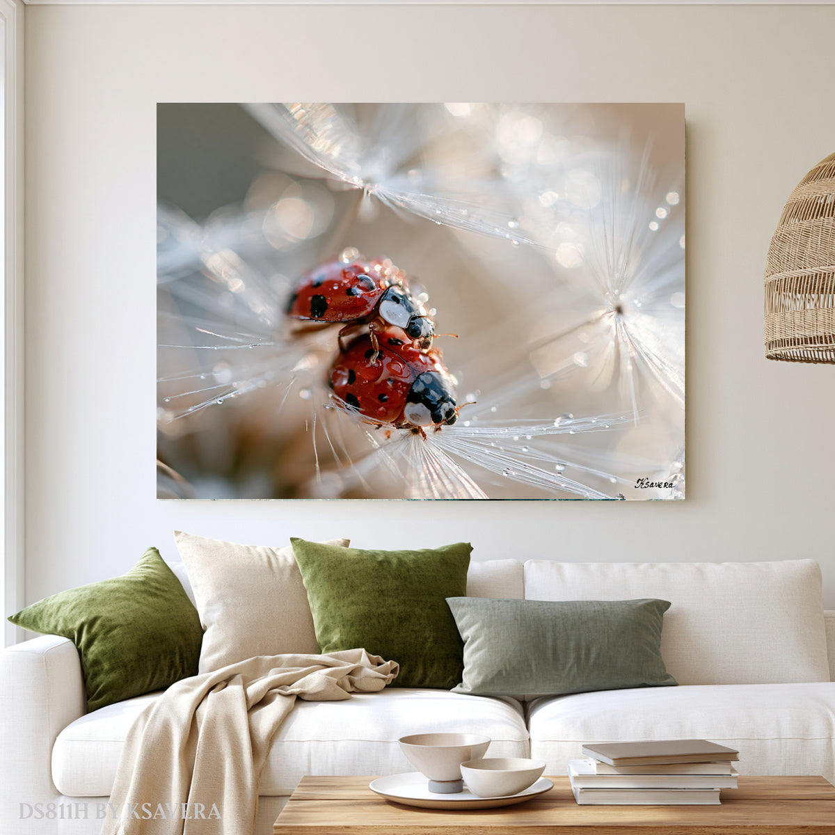 Two Red Ladybugs - Dandelion - Macro Photography - Acrylic glass Print 12"x16" and 40"x30" - DS0811H - US
