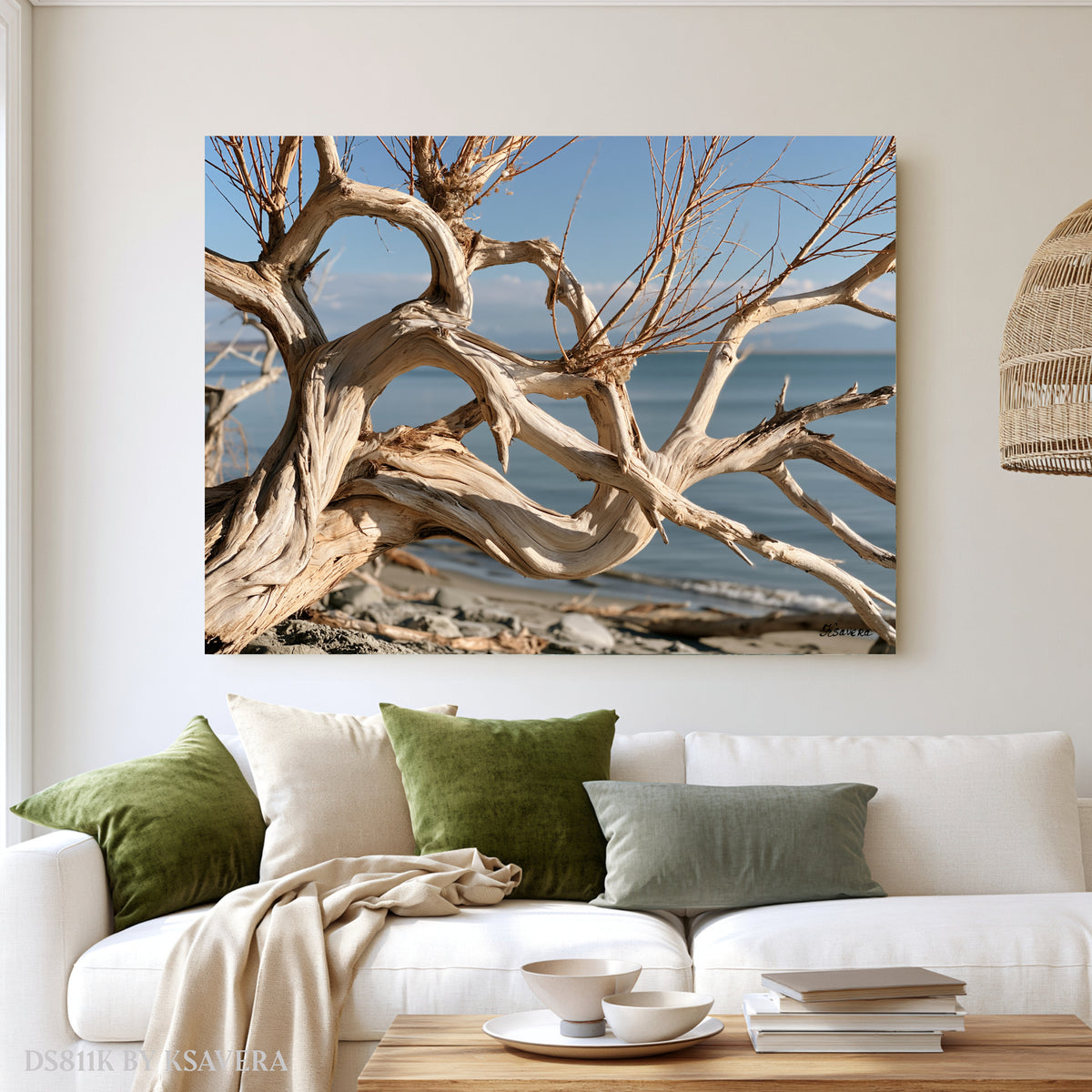 Driftwood Coastal Photography - Acrylic glass Print 12"x16" and 40"x30" - DS0811K - US